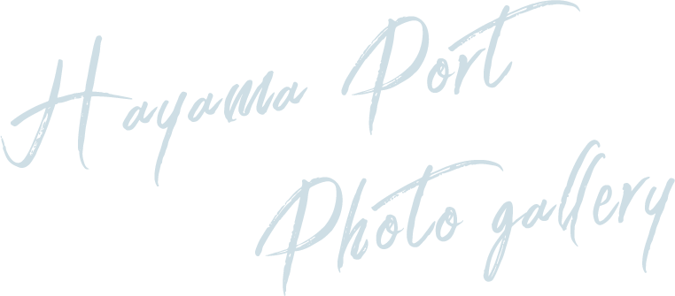 Hayama Port Photo gallery