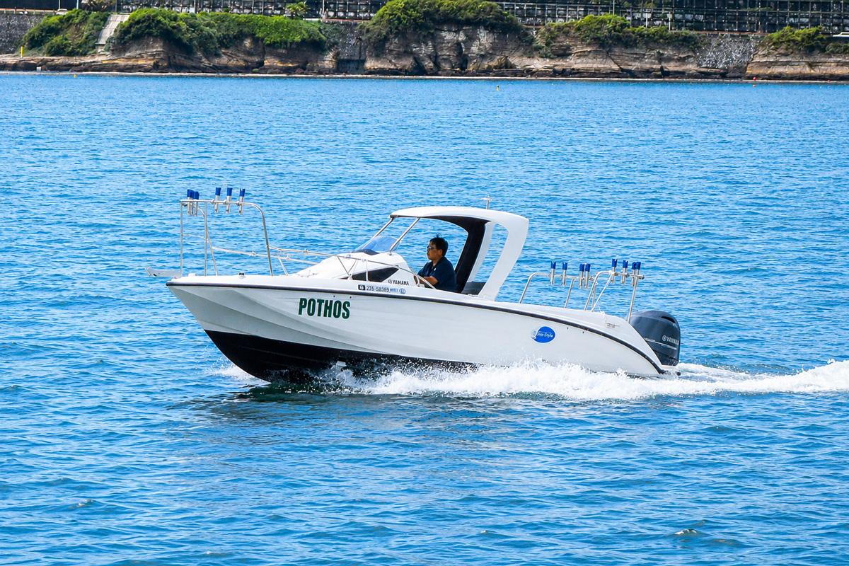 SR-X ポトス